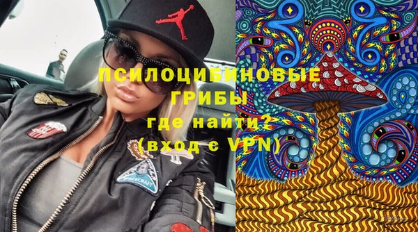 СК Зеленодольск