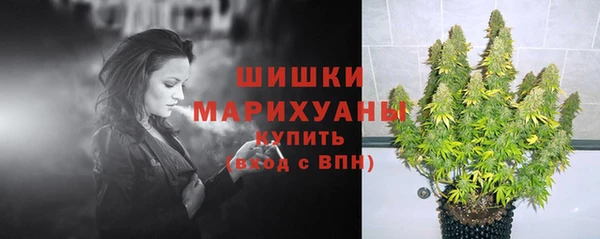 СК Зеленодольск
