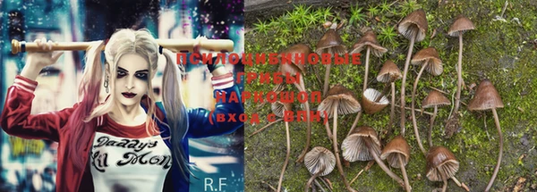 MESCALINE Зеленокумск