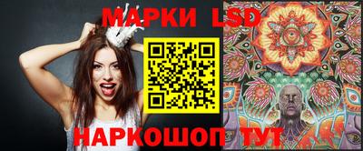 молекула духа Берёзовский