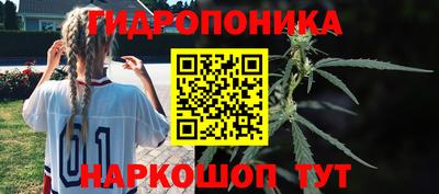 мяу мяу мука Ирбит