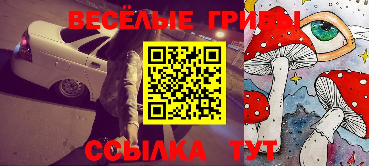 Солнечногорск  наркота  Галлюциногенные грибы MAGIC MUSHROOMS  Вход с VPN  Галлюциногенные грибы Psilocybe 